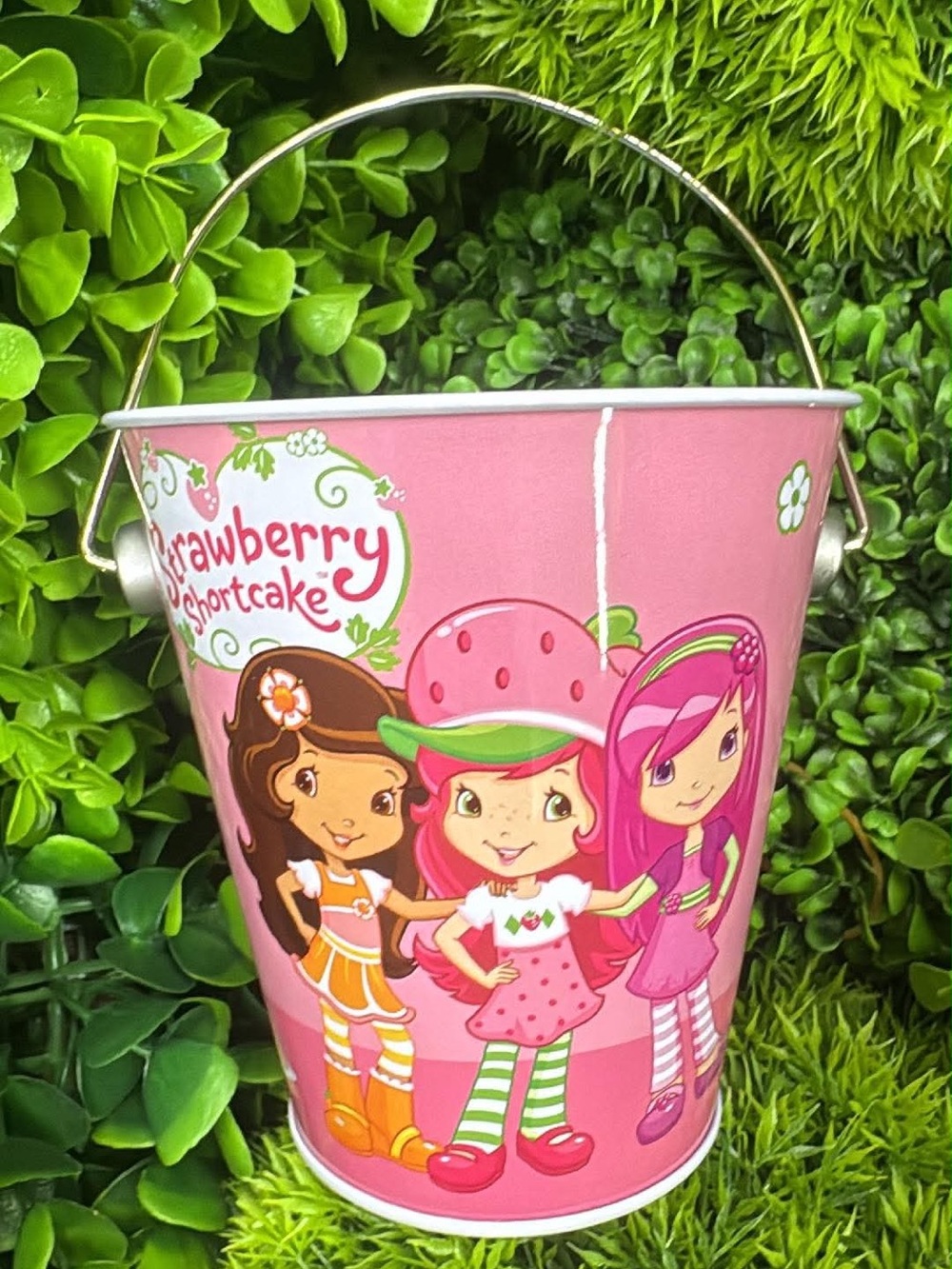 Strawberry Shortcake Pink Party Favor Bucket